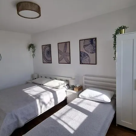 Mediterranean House - Forest Marjan