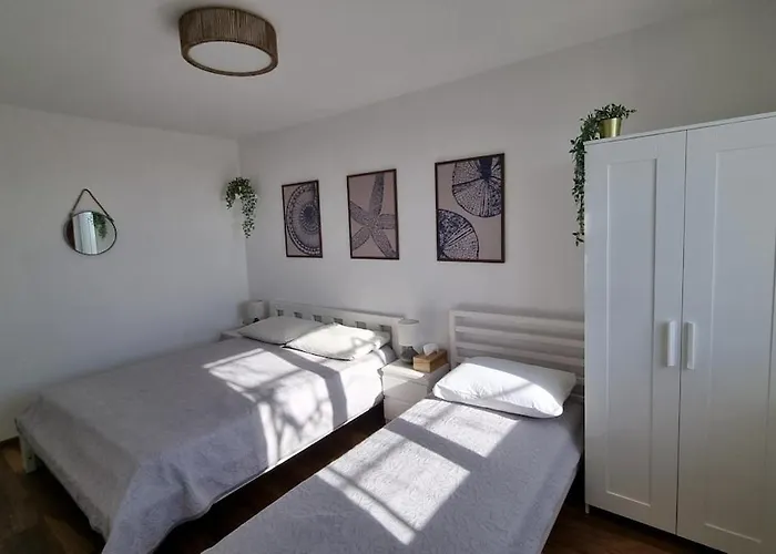 Mediterranean House - Forest Marjan